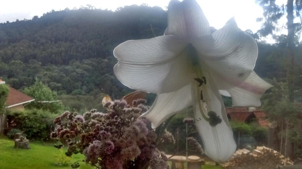 蒙特韦尔迪Morada Rancho Da Lua住宿加早餐旅馆 外观 照片